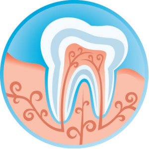 Oral Hygiene Roseville